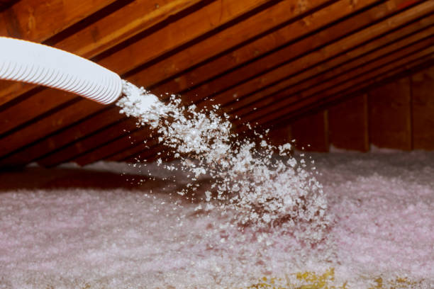 Best Cellulose Insulation  in Glasco, NY